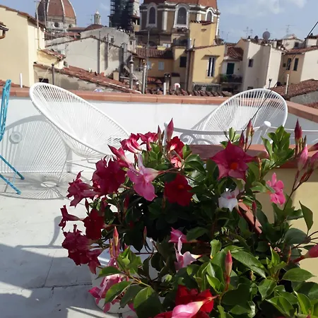 Maison d'hôtes The Dream Terrace - Giulia Rose *