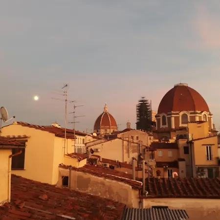 The Dream Terrace - Giulia Rose