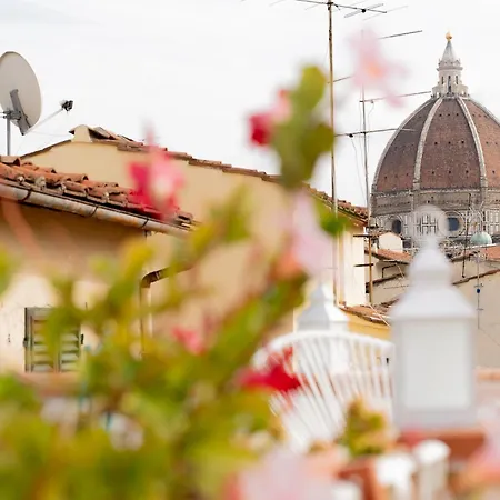 Pensionat The Dream Terrace - Giulia Rose