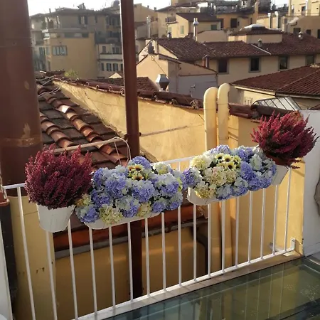 The Dream Terrace - Giulia Rose Maison d'hôtes