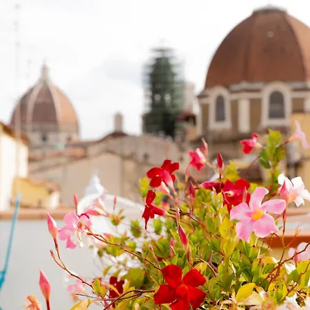 The Dream Terrace - Giulia Rose Guest house Florence